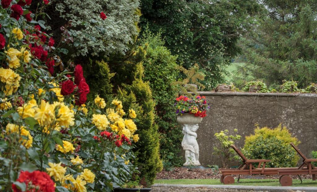 Gasthaus Glasha Farmhouse Ballymacarbry Exterior foto
