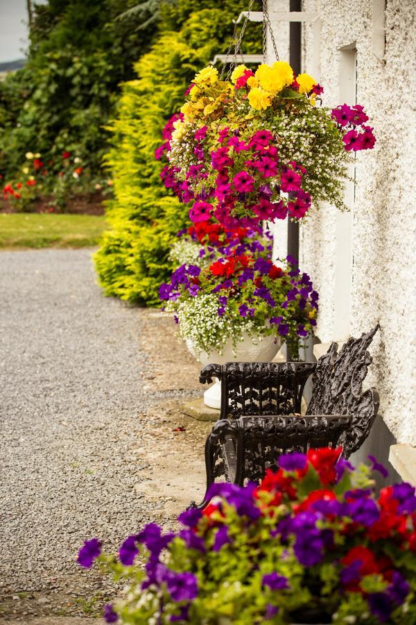 Gasthaus Glasha Farmhouse Ballymacarbry Exterior foto